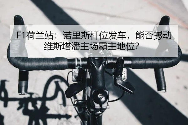 F1荷兰站：诺里斯杆位发车，能否撼动维斯塔潘主场霸主地位？